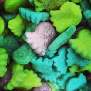 octo - Sharkfeed