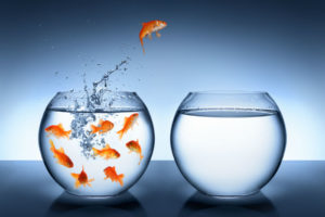 escape-from-america-fishbowl